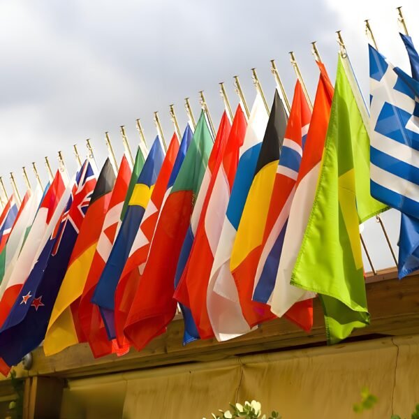 Printed  European Flags