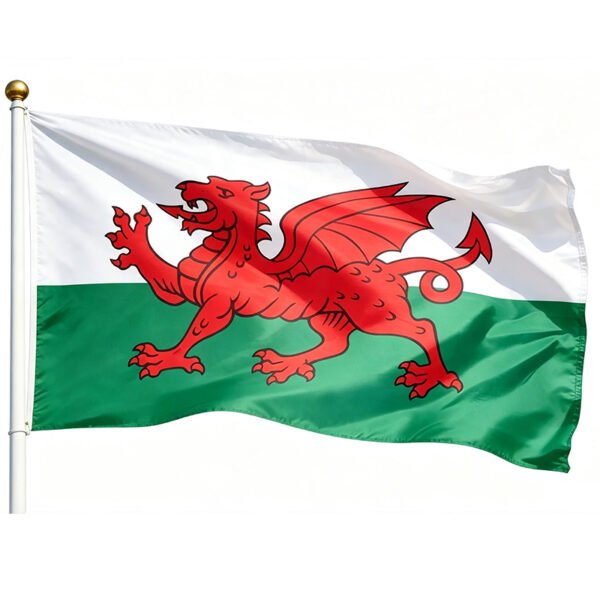 Wales Flag 3x5 Ft Printed